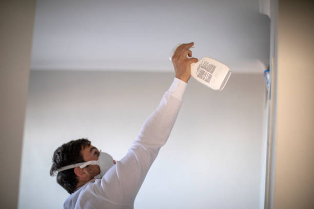 Best Black Mold Removal  in Sand Hill, PA